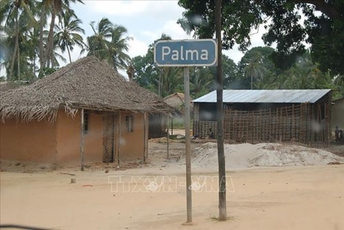 Attentats au Mozambique: pas de Vietnamiens parmi les victimes - ảnh 1