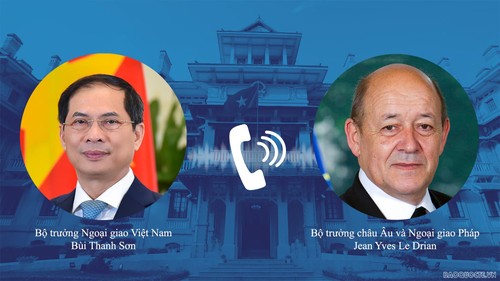 Entretien téléphonique Bùi Thanh Son - Jean Yves Le Drian - ảnh 1