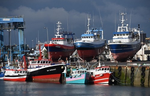 Pêche: la France appelle à une solution rapide avec le Royaume-Uni - ảnh 1