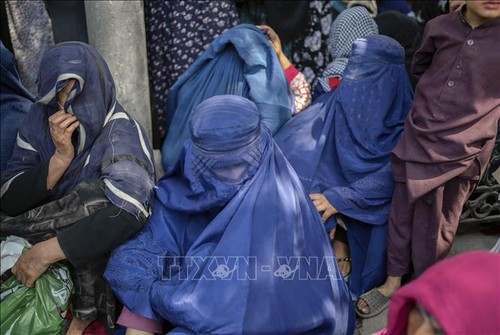 Afghanistan: le chef des talibans ordonne de protéger les droits des femmes - ảnh 1