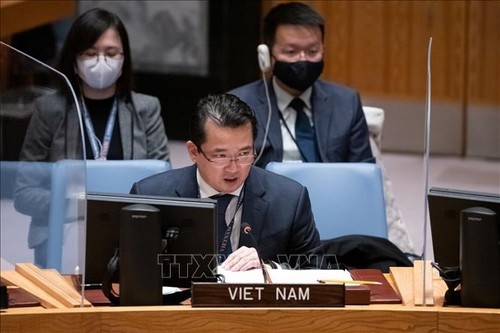 Le Vietnam appelle à donner priorité à soutenir les réfugiés - ảnh 1