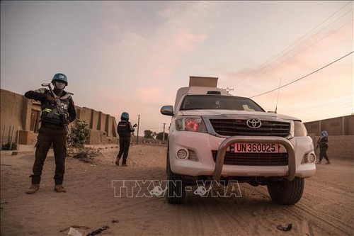 Le Conseil de sécurité de l’ONU condamne les attaques contre un convoi de la MINUSMA au Mali - ảnh 1
