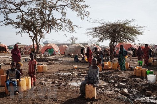 La Somalie au bord d’une catastrophe humanitaire, alerte l’ONU - ảnh 1