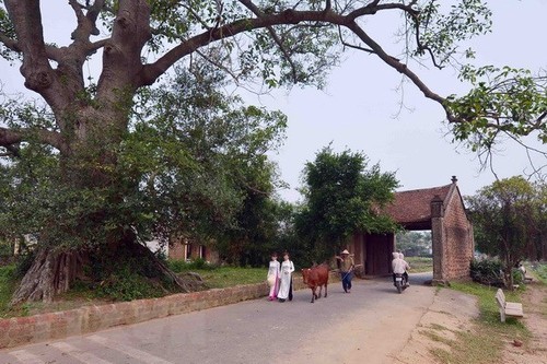 Visite de l’ancien village de Duong Lâm - ảnh 1