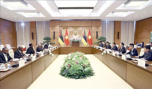 Le Vietnam prend en haute estime ses relations avec le Mozambique - ảnh 2