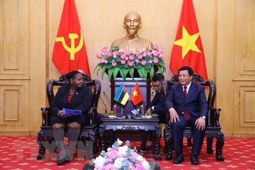 Promotion de la coopération entre l'Académie nationale de politique Hô Chi Minh et le Mozambique - ảnh 1