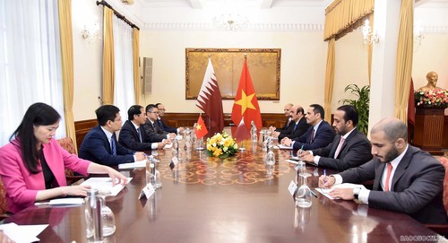 Le Vietnam est un partenaire prioritaire du Qatar en Asie-Pacifique - ảnh 1