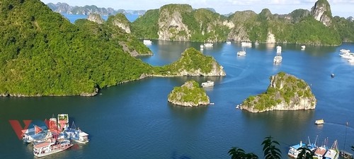 Quang Ninh accueille la 17e Assemblée générale du Forum interrégional du tourisme d’Asie de l'Est - ảnh 1