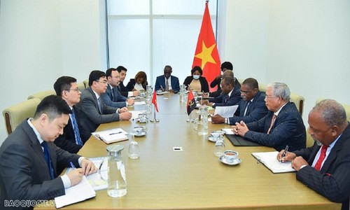 Dynamiser la coopération multiforme Vietnam – Angola - ảnh 1
