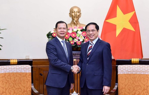 Le Vietnam et le Laos renforcent leur soutien mutuel au sein des forums internationaux - ảnh 1