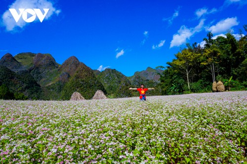 Mùa thu lên Hà Giang “hẹn hò” cùng hoa tam giác mạch - ảnh 9