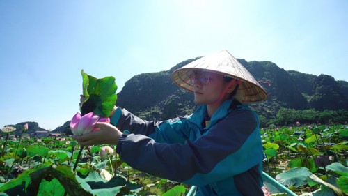 Du khách thích thú với trà, ẩm thực từ sen tươi giữa mùa Đông ở Ninh Bình - ảnh 2