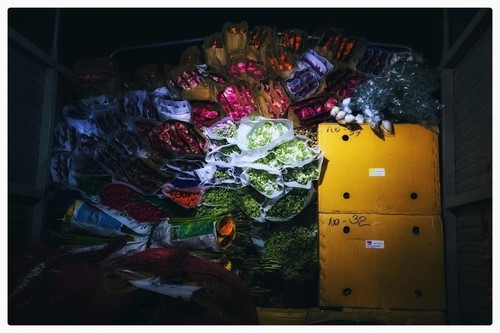Nhộn nhịp chợ hoa đêm Quảng An những ngày giáp Tết - ảnh 11
