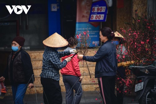 Hoa đào tươi thắm mang xuân về phố phường Hà Nội bất chấp Covid-19 - ảnh 2