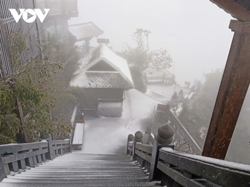 Mưa tuyết trắng đỉnh Fansipan trước thềm năm mới - ảnh 9