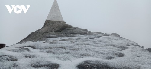 Mưa tuyết trắng đỉnh Fansipan trước thềm năm mới - ảnh 1