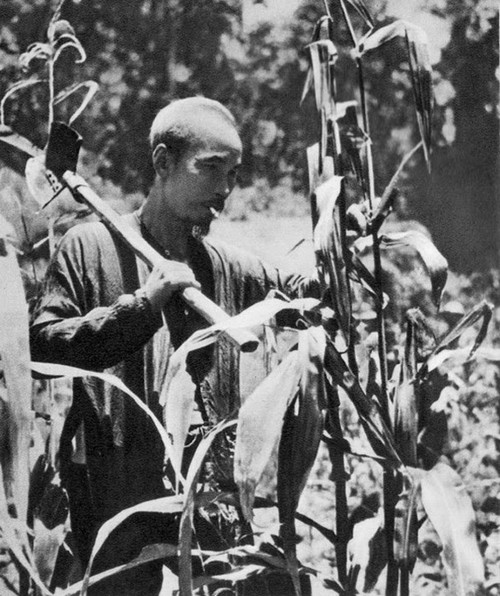 Những hình ảnh bình dị về cuộc đời Chủ tịch Hồ Chí Minh - ảnh 3