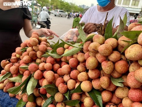 Vải đầu mùa bán tràn Hà Nội: Hút khách từ “chợ mạng”, ven đường đến siêu thị - ảnh 4