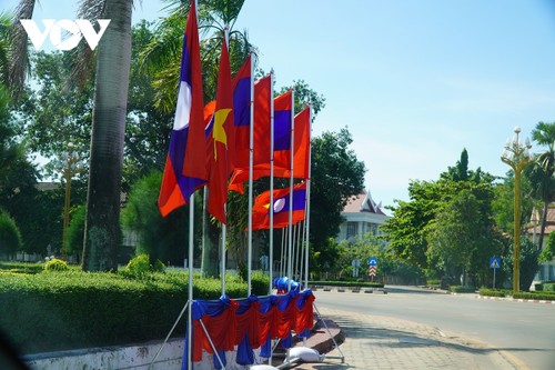 Vientiane rực rỡ cờ hoa trước thềm chuyến thăm Lào của Chủ tịch nước Nguyễn Xuân Phúc - ảnh 6