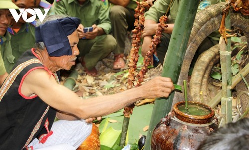 Lời hứa bảo vệ rừng trong nghi lễ truyền thống của người Jrai - ảnh 6