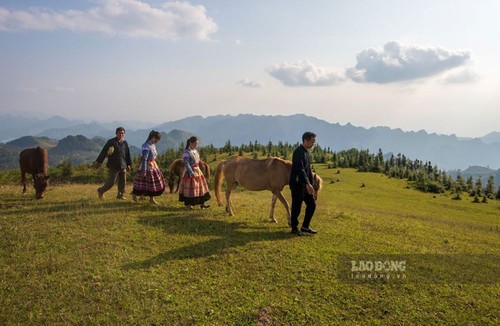 Vẻ đẹp thảo nguyên Cốc Sâm, tỉnh Lào Cai - ảnh 11
