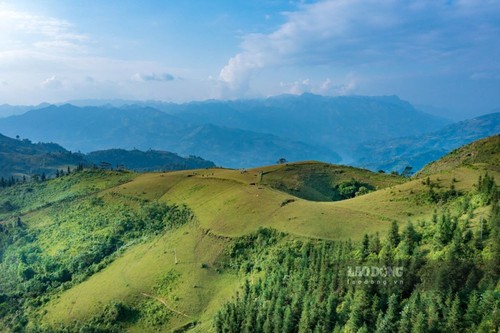 Vẻ đẹp thảo nguyên Cốc Sâm, tỉnh Lào Cai - ảnh 1