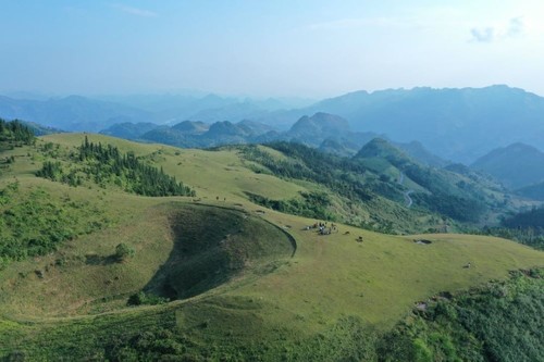 Vẻ đẹp thảo nguyên Cốc Sâm, tỉnh Lào Cai - ảnh 6
