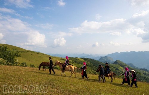 Vẻ đẹp thảo nguyên Cốc Sâm, tỉnh Lào Cai - ảnh 8