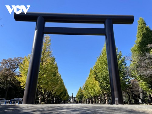 Chiêm ngường cảnh sắc mùa thu tuyệt đẹp ở Nhật Bản - ảnh 10