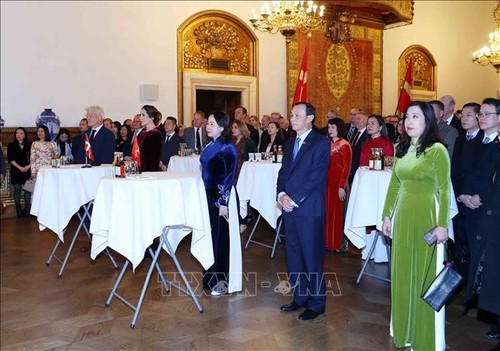 Phó Chủ tịch nước dự kỷ niệm 10 năm thiết lập quan hệ Việt Nam - Đan Mạch - ảnh 2