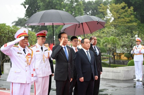 Tổng thống Indonesia vào Lăng viếng Chủ tịch Hồ Chí Minh - ảnh 5