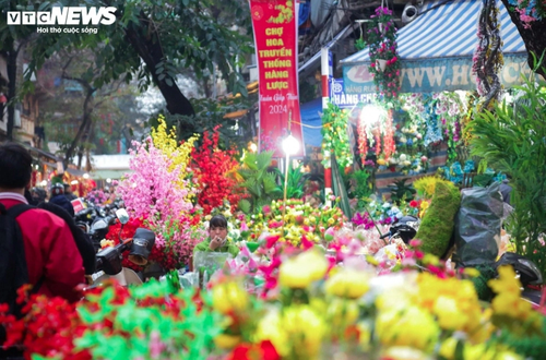 Người Hà Nội tấp nập đi chợ hoa Hàng Lược trước Tết ông Táo - ảnh 8