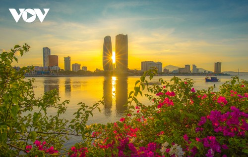 Rực rỡ sắc hoa bên sông Hàn - ảnh 12