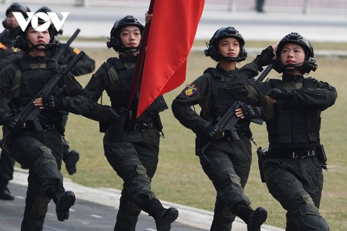 Tổng duyệt kỷ niệm, diễu binh, diễn hành 70 năm Chiến thắng Điện Biên Phủ - ảnh 12