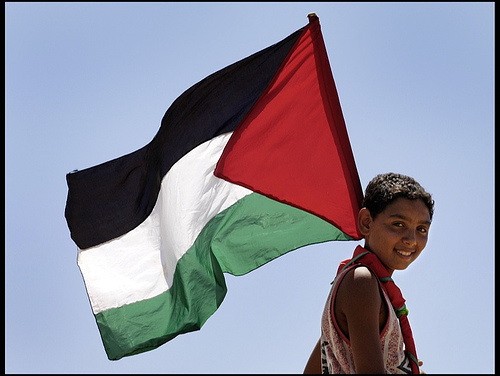 巴勒斯坦呼吁联合国考察占领区 - ảnh 1