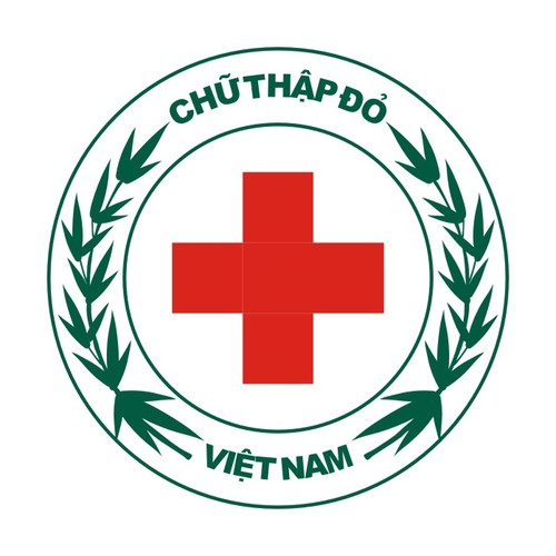越南红十字会举行世界红十字日纪念活动 - ảnh 1