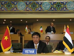 越南出席在埃及举行的不结盟运动部长级会议 - ảnh 1