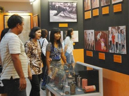 纪念越南橙剂灾难51周年图片展在胡志明市举行 - ảnh 1