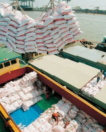 越南致力打造大米出口品牌 - ảnh 1