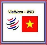 提高越南融入国际经济的效果 - ảnh 3