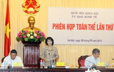 越南国会经济委员会举行第五次全体会议 - ảnh 1