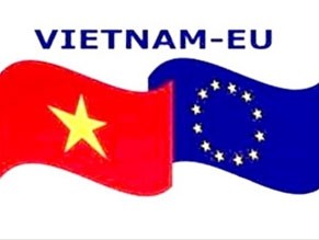 越南一直把欧盟视为对外政策的首要优先伙伴 - ảnh 1