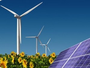 印度-东盟可再生能源合作研讨会举行 - ảnh 1