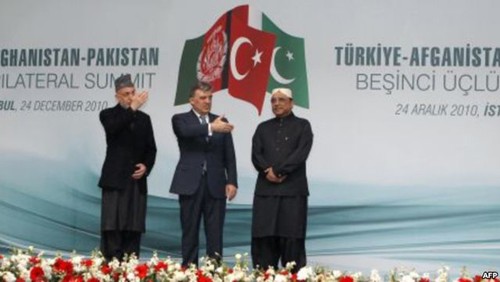 阿富汗、巴基斯坦、土耳其开设热线电话 - ảnh 1