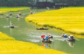 2012年的越南旅游 - ảnh 3