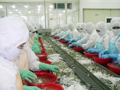美国商务部答复美国企业对越南虾类提起的诉讼 - ảnh 1