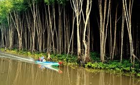 越南响应2013年世界湿地日 - ảnh 1