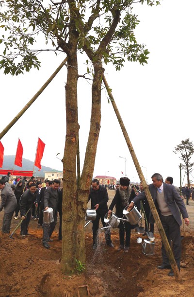 越南全国各地举行植树节 - ảnh 1