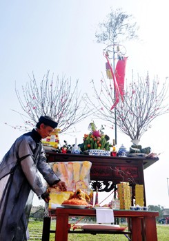 越南民族春色节 - ảnh 1