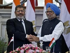 印度与埃及签署多项重要合作协议 - ảnh 1